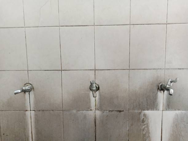 Mason Neck, VA Water damage restoration Company
