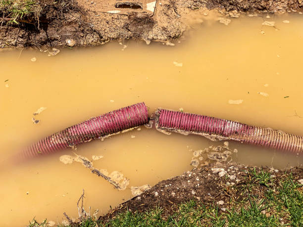Sewage cleanup and water damage restoration in Mason Neck, VA