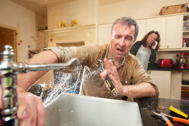 Best Flood damage cleanup  in Mason Neck, VA